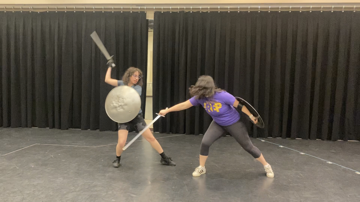Image from the Tourist Trap stage combat workshop.